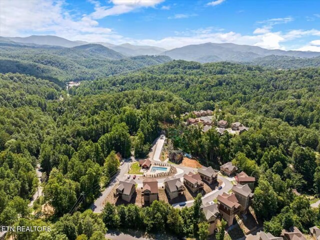 1115 Anastasia Way, Gatlinburg, TN 37738 - photo 47
