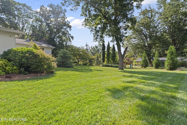 506 Rockingham Dr, Knoxville, TN 37909 - photo 38