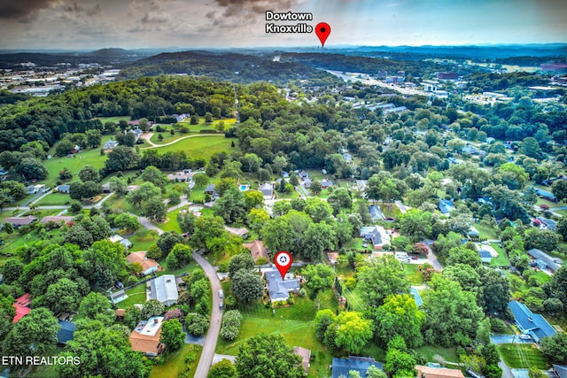 506 Rockingham Dr, Knoxville, TN 37909 - photo 44