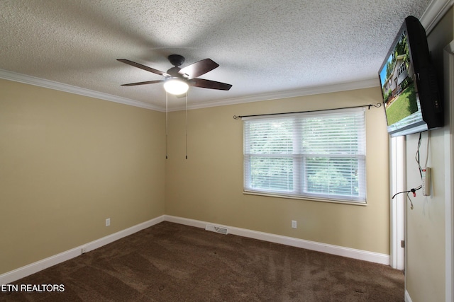 7317 Joyce Ln, Powell, TN 37849 - photo 12