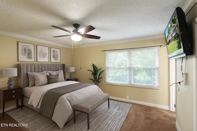 7317 Joyce Ln, Powell, TN 37849 - photo 11