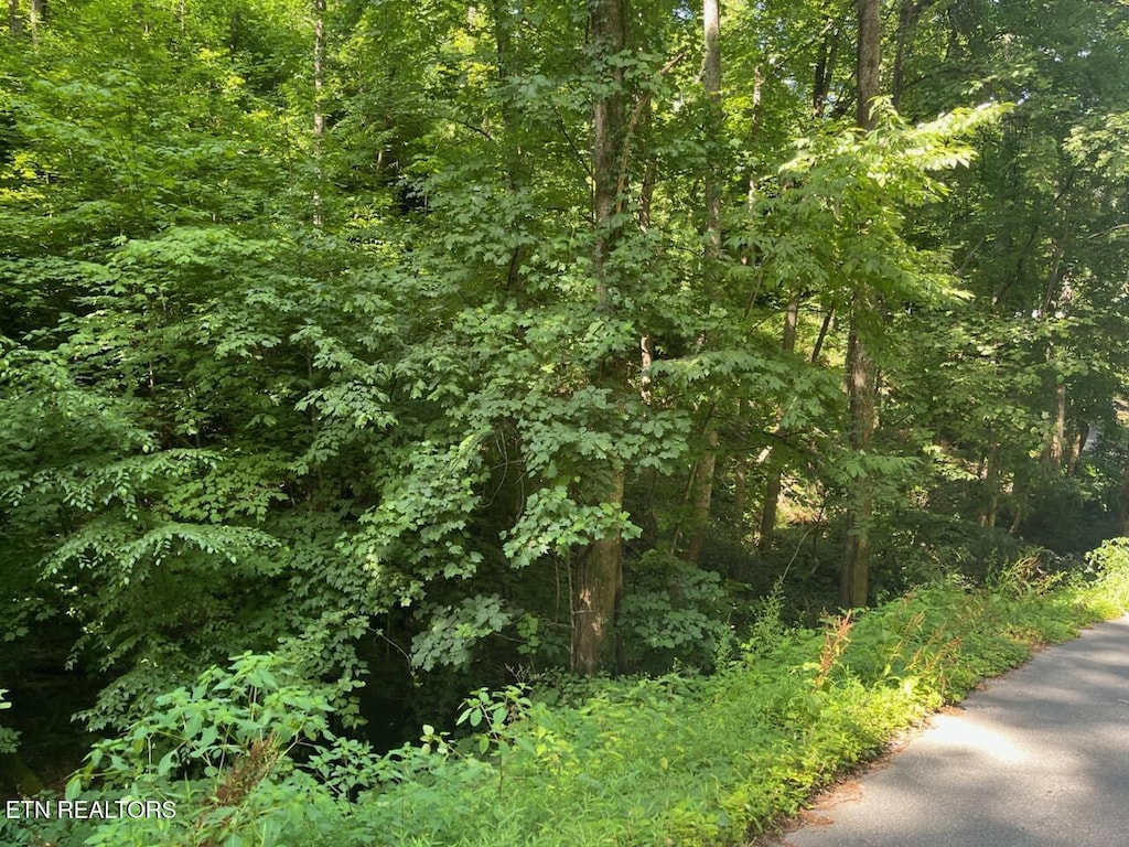 Heiden Dr, Gatlinburg, TN 37738 - photo 1