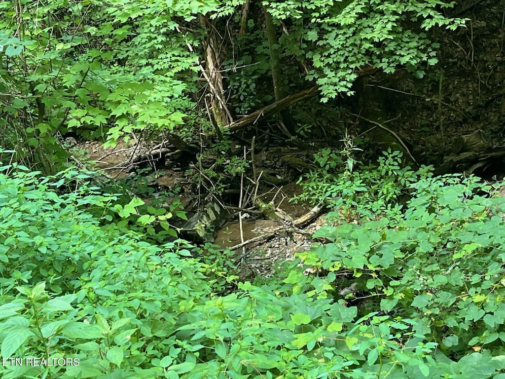 Heiden Dr, Gatlinburg, TN 37738 - photo 2
