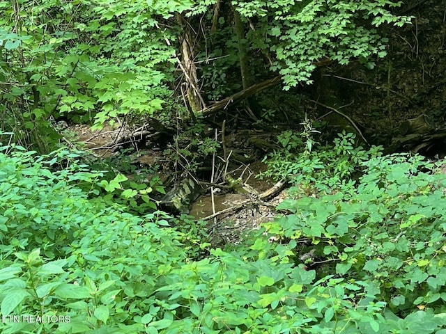 Heiden Dr, Gatlinburg, TN 37738 - photo 2