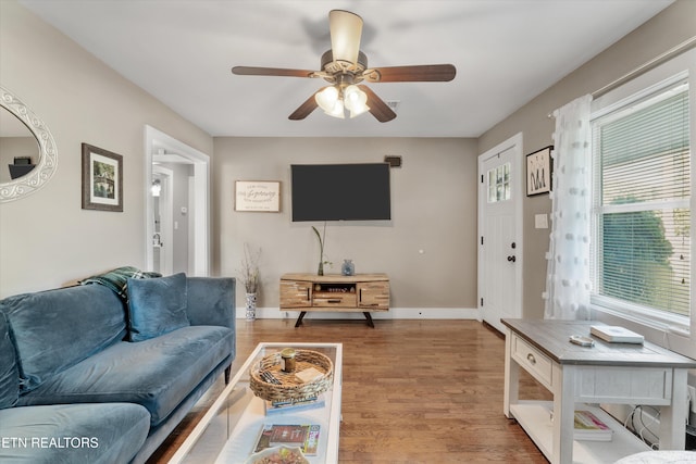 642 Eagleton Rd, Maryville, TN 37804 - photo 8