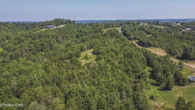 Kinder Ln, Dandridge, TN 37725 - photo 38