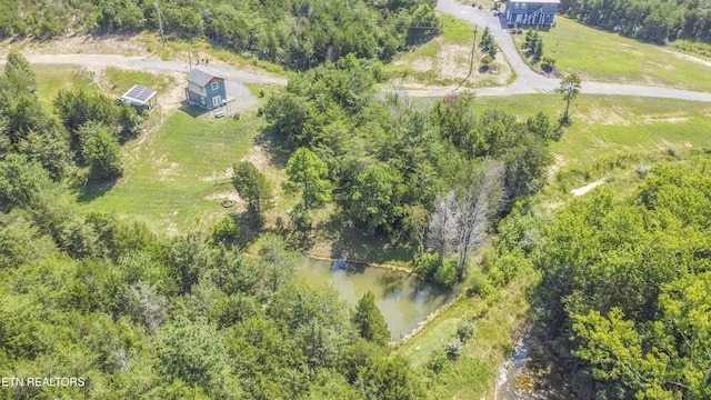 Kinder Ln, Dandridge, TN 37725 - photo 7