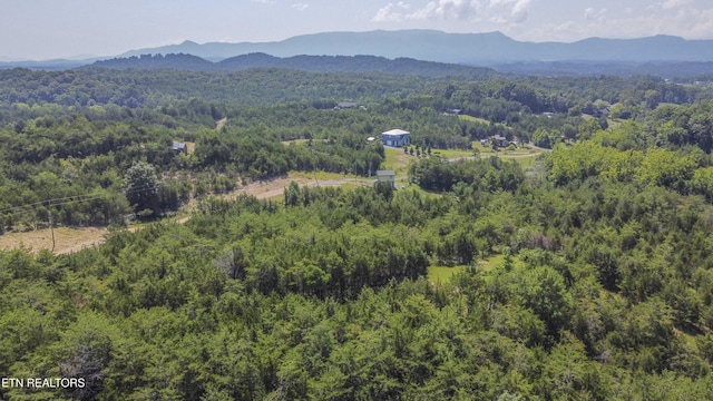 Kinder Ln, Dandridge, TN 37725 - photo 45