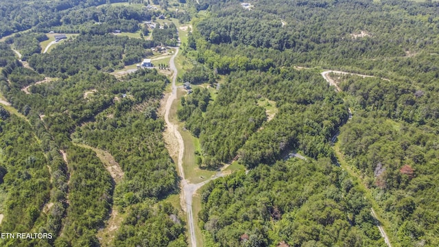 Kinder Ln, Dandridge, TN 37725 - photo 29