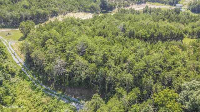 Kinder Ln, Dandridge, TN 37725 - photo 44