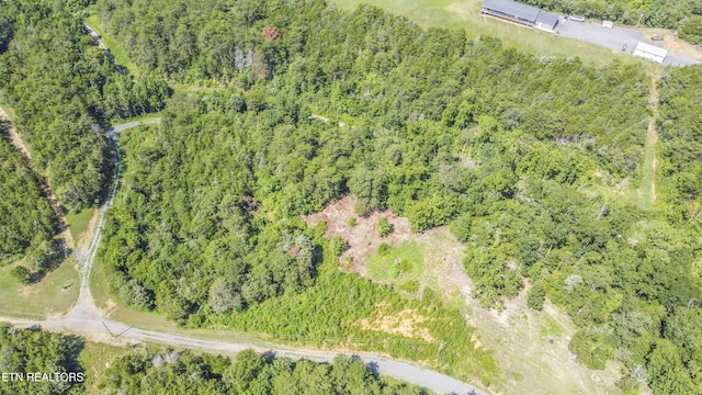 Kinder Ln, Dandridge, TN 37725 - photo 46
