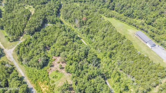 Kinder Ln, Dandridge, TN 37725 - photo 48