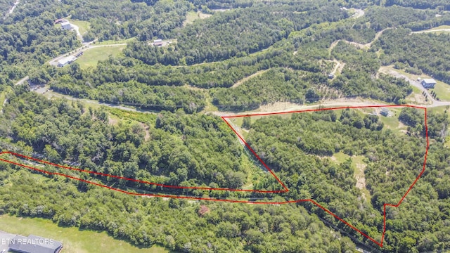 Kinder Ln, Dandridge, TN 37725 - photo 31