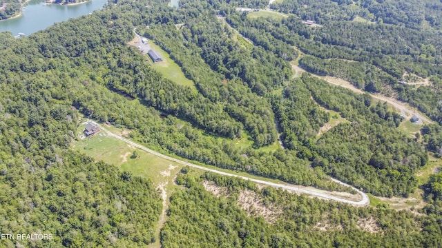 Kinder Ln, Dandridge, TN 37725 - photo 49
