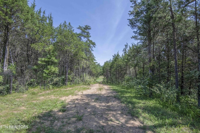 Kinder Ln, Dandridge, TN 37725 - photo 52