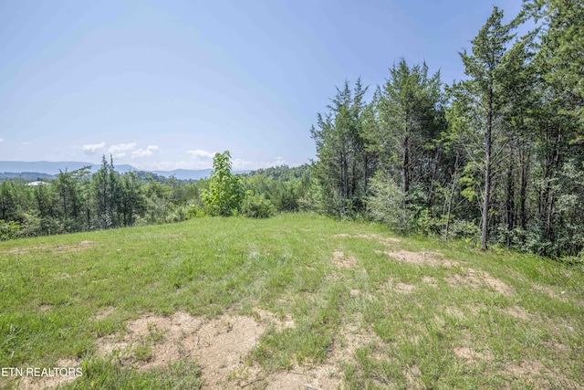 Kinder Ln, Dandridge, TN 37725 - photo 53