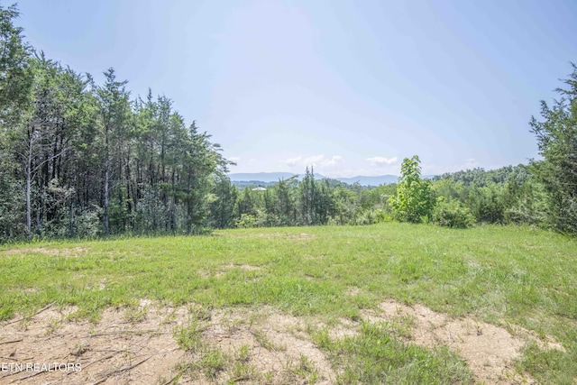 Kinder Ln, Dandridge, TN 37725 - photo 8