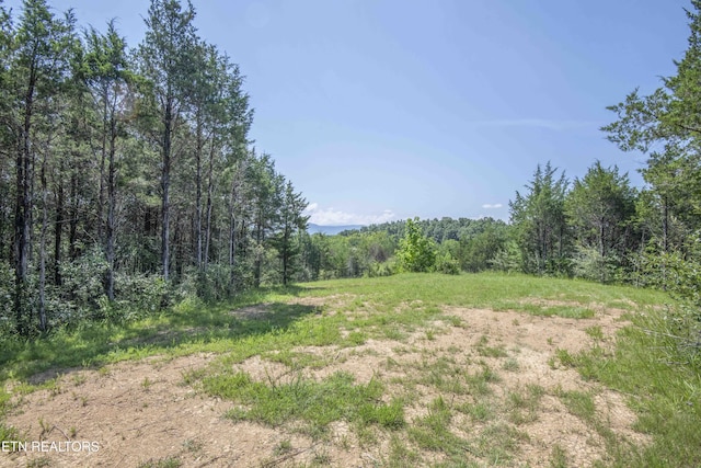 Kinder Ln, Dandridge, TN 37725 - photo 54