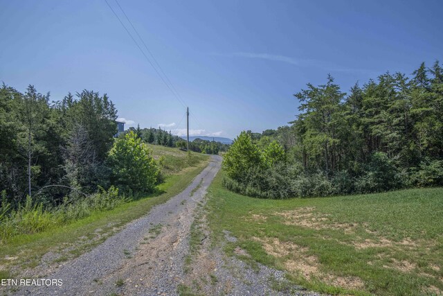 Kinder Ln, Dandridge, TN 37725 - photo 55
