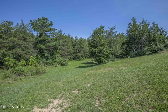 Kinder Ln, Dandridge, TN 37725 - photo 56