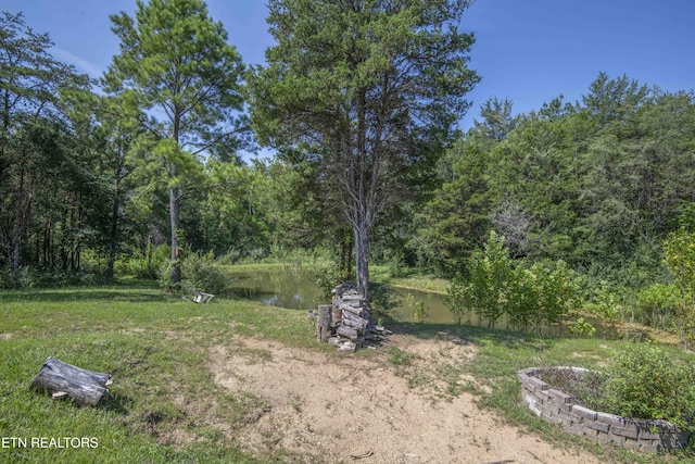 Kinder Ln, Dandridge, TN 37725 - photo 9