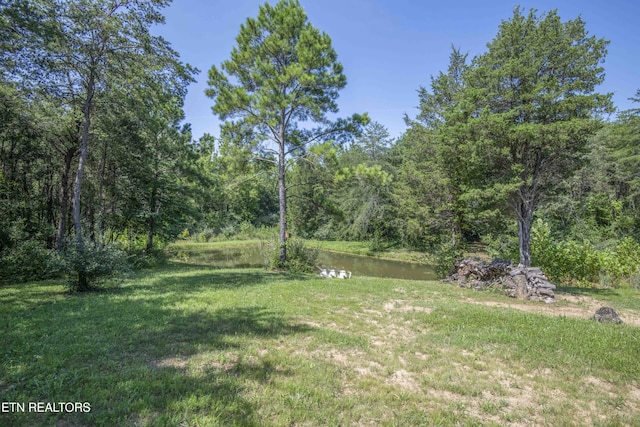 Kinder Ln, Dandridge, TN 37725 - photo 10
