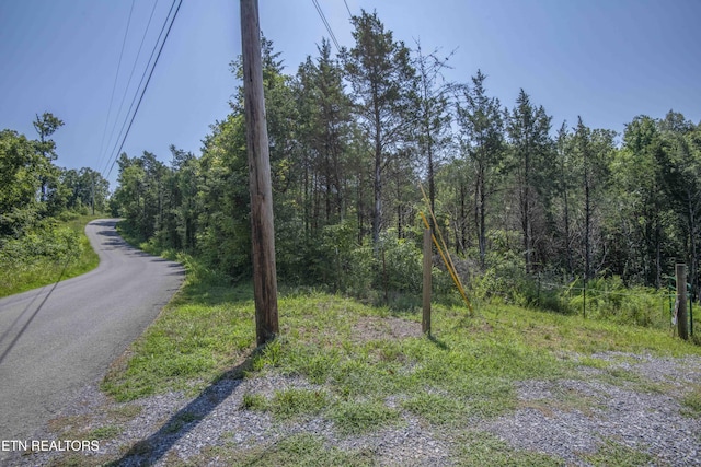 Kinder Ln, Dandridge, TN 37725 - photo 22