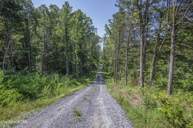 Kinder Ln, Dandridge, TN 37725 - photo 4