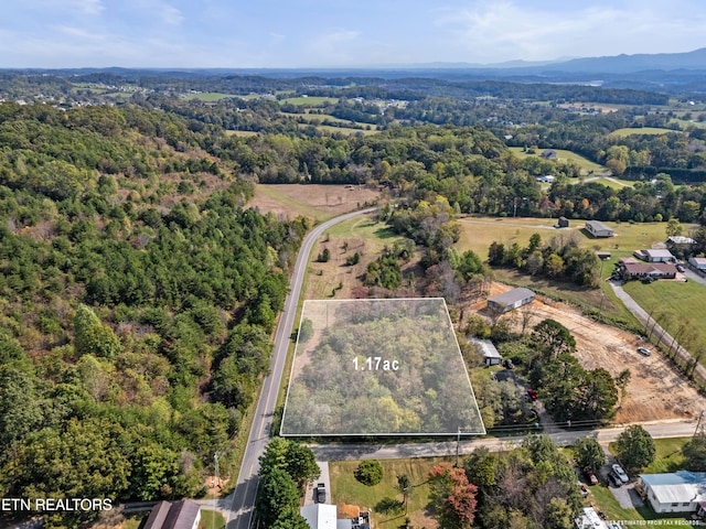 LOT2R-1 Grn Hill Rd, Dandridge, TN 37725 - photo 4