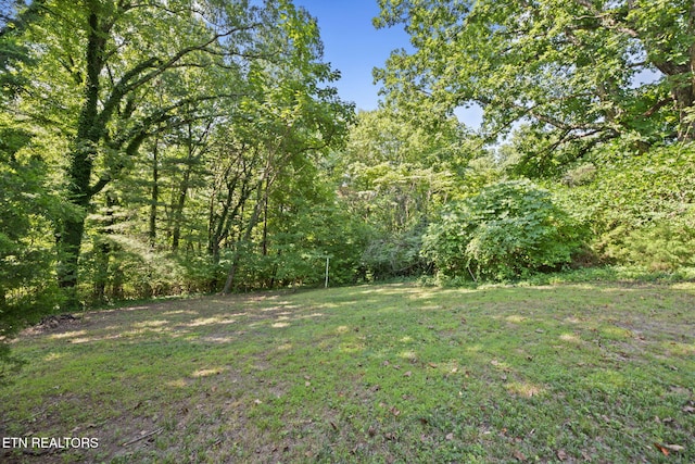 181 California Ave, Oak Ridge, TN 37830 - photo 25
