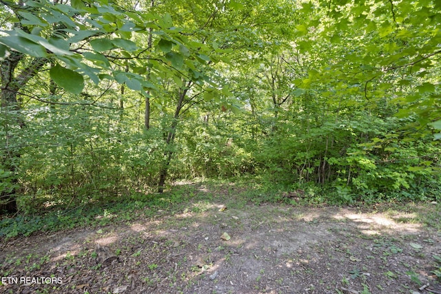 181 California Ave, Oak Ridge, TN 37830 - photo 27
