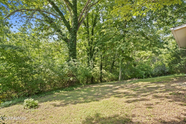 181 California Ave, Oak Ridge, TN 37830 - photo 29