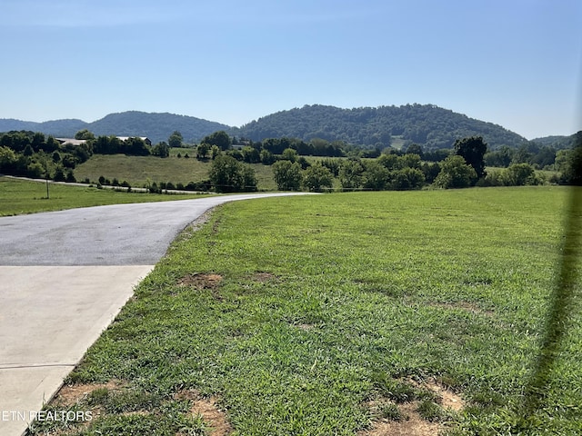 7921 Bud Hawkins Rd, Corryton, TN 37721 - photo 7