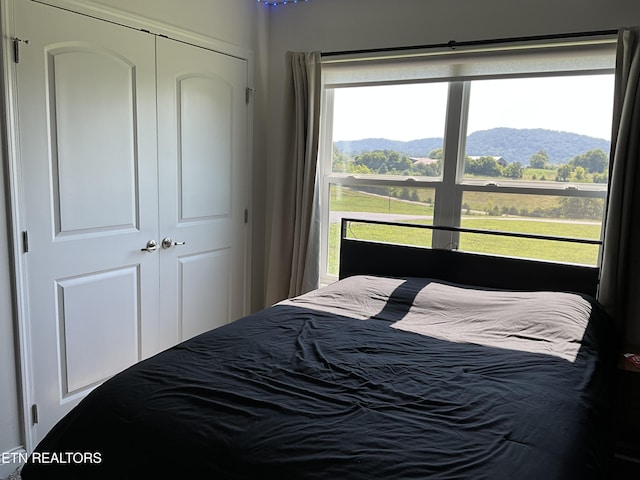 7921 Bud Hawkins Rd, Corryton, TN 37721 - photo 41