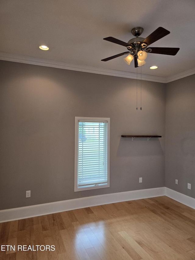 318 E Oak Hill Ave, Knoxville, TN 37917 - photo 7