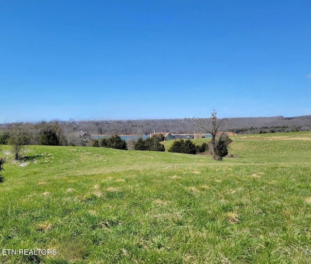 Russell Brothers Rd, Sharps Chapel, TN 37866 - photo 1