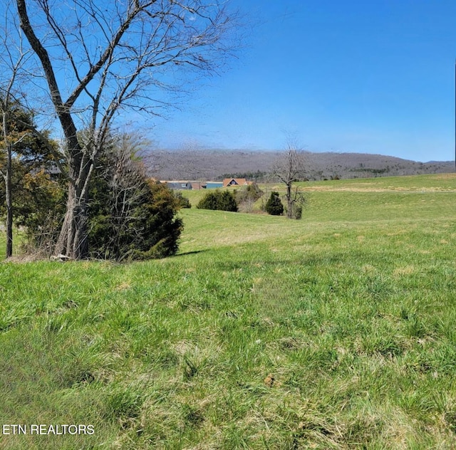 Russell Brothers Rd, Sharps Chapel, TN 37866 - photo 2
