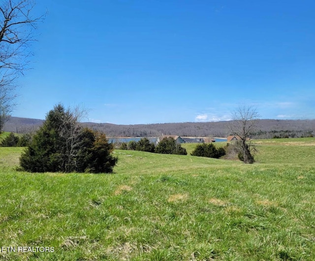 Russell Brothers Rd, Sharps Chapel, TN 37866 - photo 3