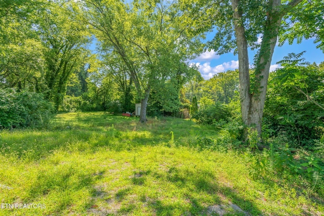 717 N Charles Seivers Blvd, Clinton, TN 37716 - photo 46