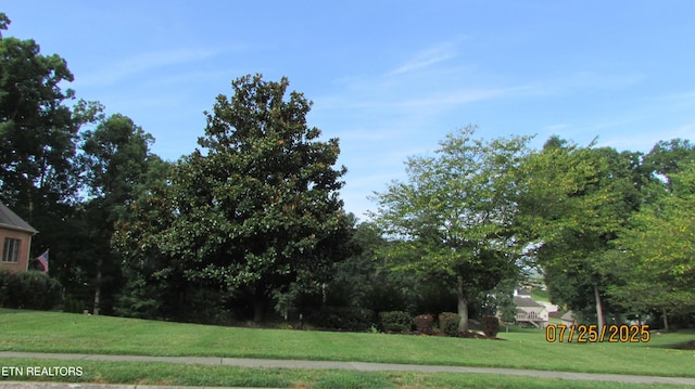 215 Valleyview Dr Unit 2, Lenoir City, TN 37772 - photo 6