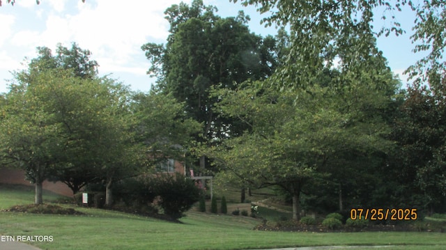 215 Valleyview Dr Unit 2, Lenoir City, TN 37772 - photo 9