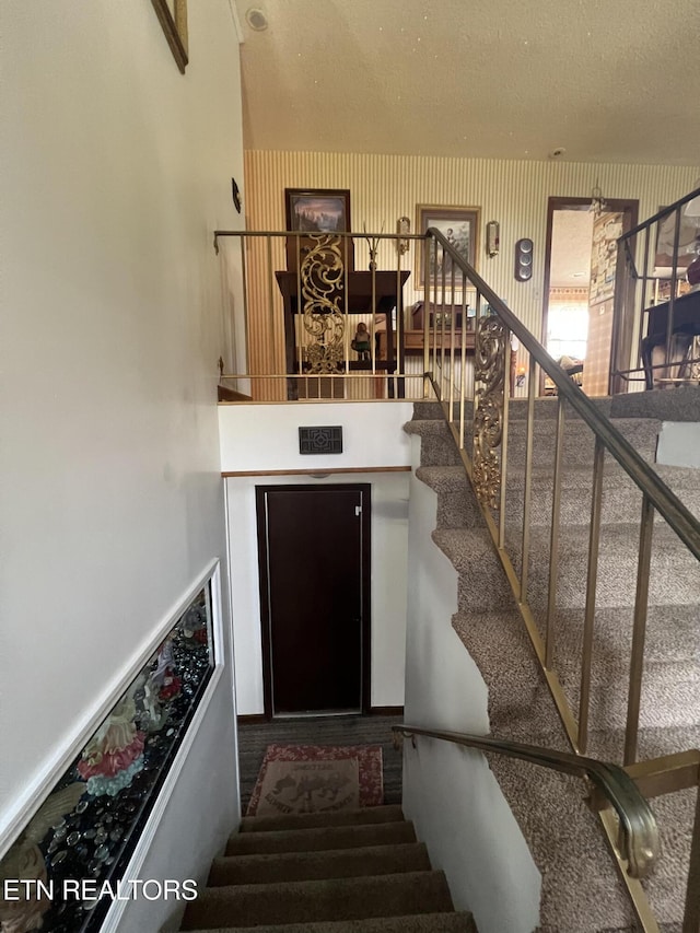 1719 Boone Cir, Tazewell, TN 37879 - photo 40