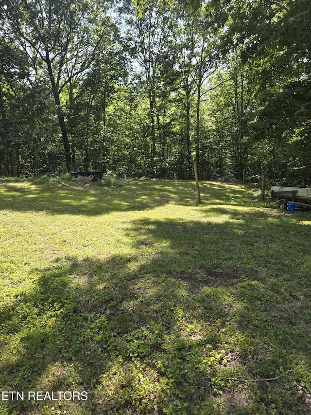 1223 Sheppard Rd, Jamestown, TN 38556 - photo 5