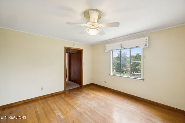 8200 Corteland Dr, Knoxville, TN 37909 - photo 20