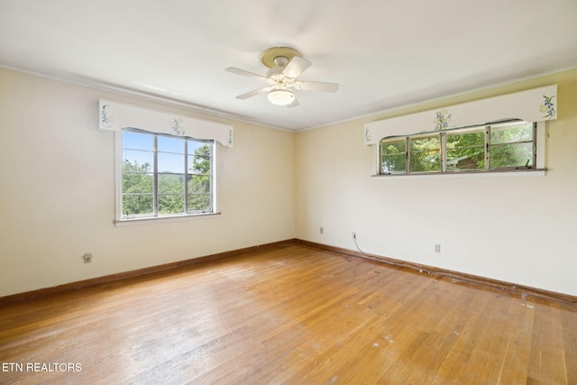 8200 Corteland Dr, Knoxville, TN 37909 - photo 19
