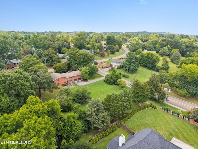8200 Corteland Dr, Knoxville, TN 37909 - photo 49