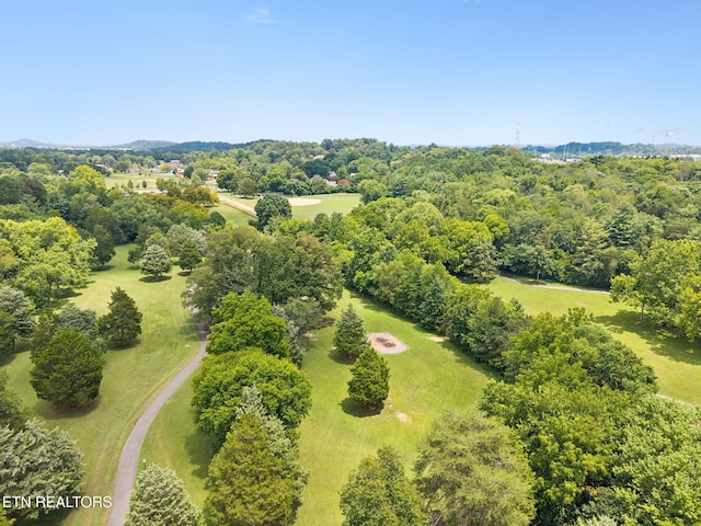 8200 Corteland Dr, Knoxville, TN 37909 - photo 55