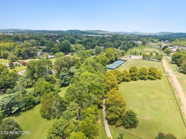 8200 Corteland Dr, Knoxville, TN 37909 - photo 57