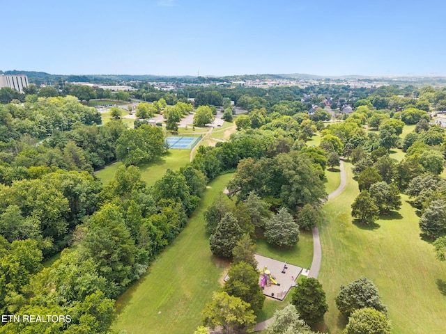 8200 Corteland Dr, Knoxville, TN 37909 - photo 58