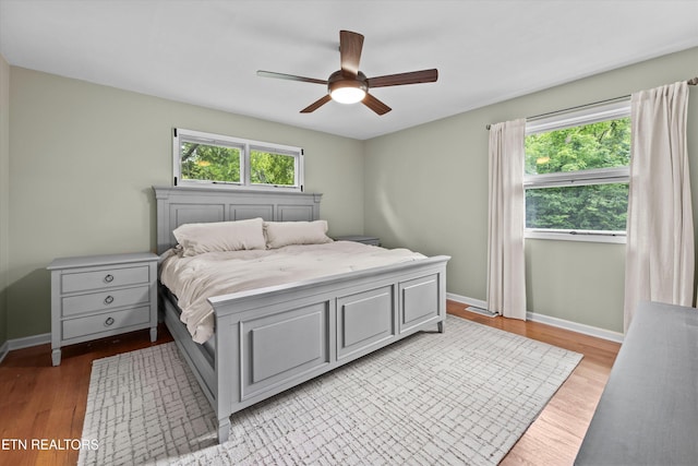 4224 NE Clairmont Dr, Knoxville, TN 37918 - photo 12